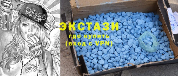 индика Сатка