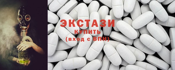 индика Сатка
