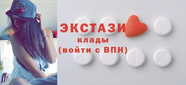 индика Сатка