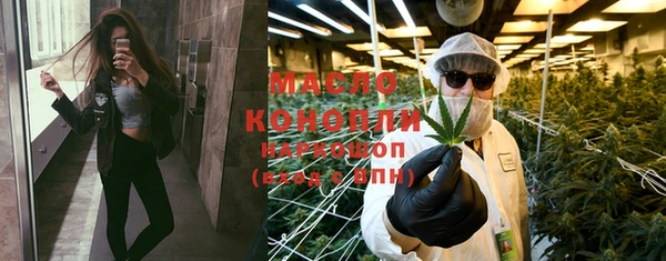 индика Сатка