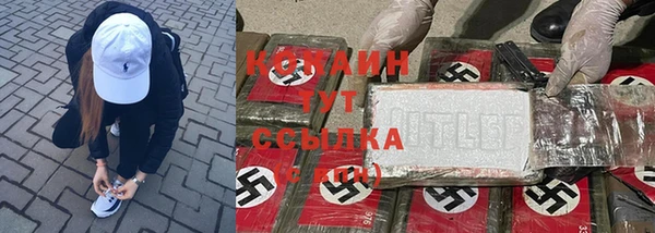 индика Сатка