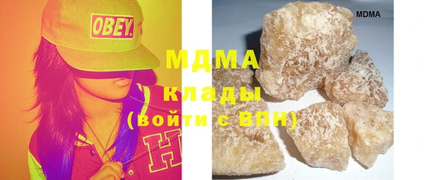 индика Сатка