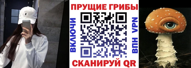 Галлюциногенные грибы Psilocybine cubensis  Купить где  Унеча 